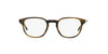 Matte Moise Tortoise / Large (49)